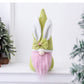 Easter Faceless Decorations Cartoon Rabbit Doll - RB.