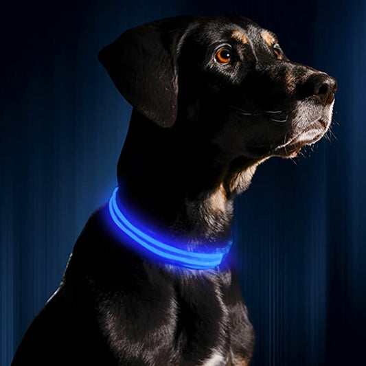 TownX ION® Led Dog Collar - RB.